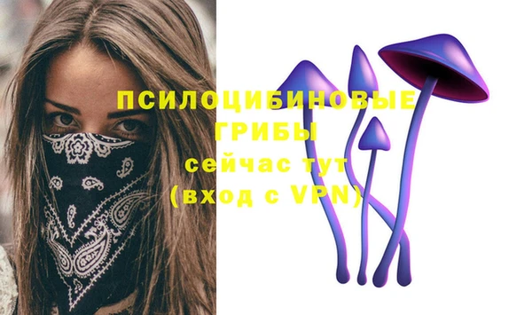 МДПВ Алзамай