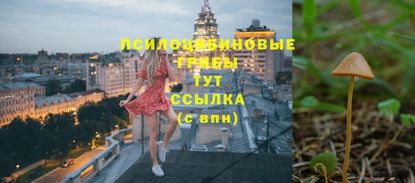 ешки Алексеевка
