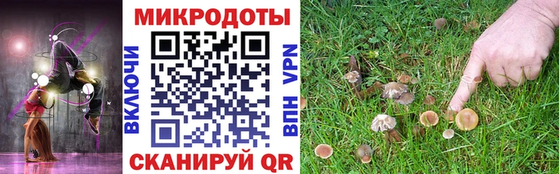 Псилоцибиновые грибы Magic Shrooms  где купить наркоту  Зеленоградск 