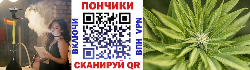 Каннабис Bruce Banner  где купить наркоту  мега ссылки  Зеленоградск 